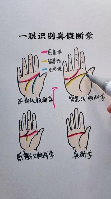 斷掌怎么看手相 斷掌手相分析