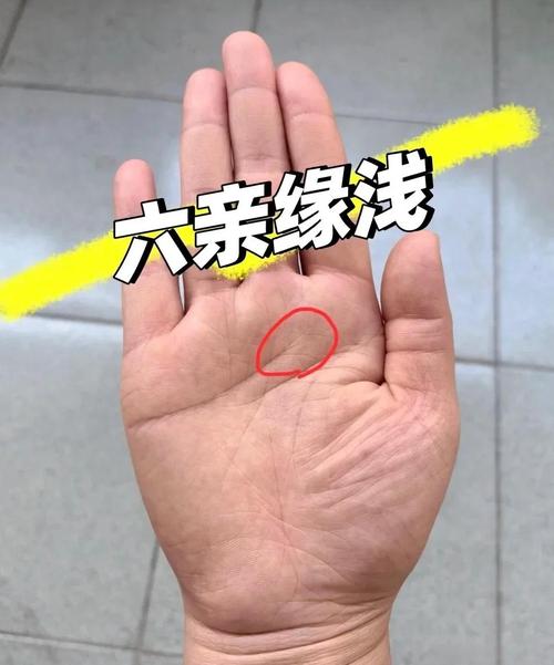 感情線末端分三叉鳳尾