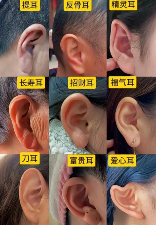 耳朵小就是窮嗎 沒福的耳朵