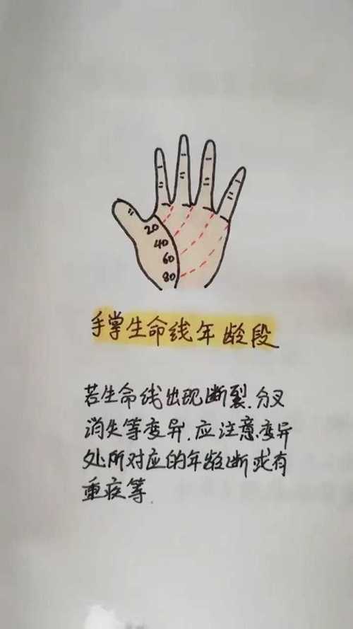 生命線短壽命就短嗎 有什么說法