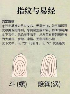 手指上的斗和簸箕代表什么