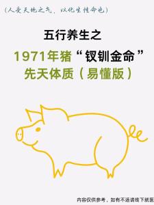 1971年出生是什么命？(金豬之命)