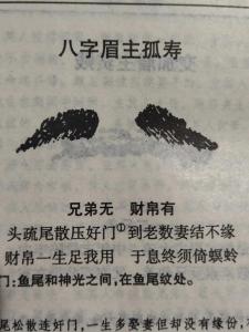 八字眉的男人能嫁嗎 不能嫁的男人面相