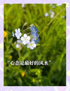 助工作調(diào)動(dòng)的風(fēng)水 采光充足心情陽(yáng)光
