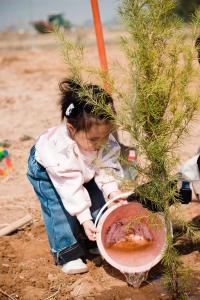 2022年植樹節出生的寶寶好不好 命格羨煞旁人