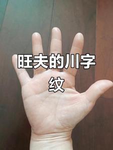 川字紋手掌的人能不能發(fā)財