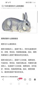 爸爸屬狗媽媽屬兔寶寶屬虎合不合 氛圍歡樂充滿干勁