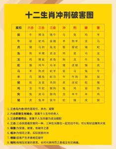 十二生肖的風水功效
