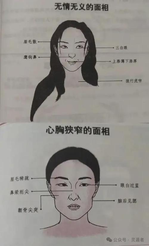 女人面相圖解：最讓男人心動的女人面相