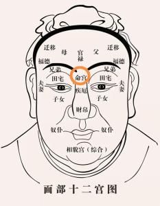 印堂飽滿運帶官相嗎