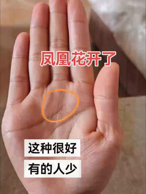 女人富貴命罕見手相 鳳尾紋