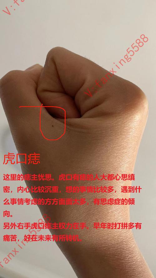 虎口的人面相分析