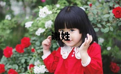 謝姓吉利的男孩名字
