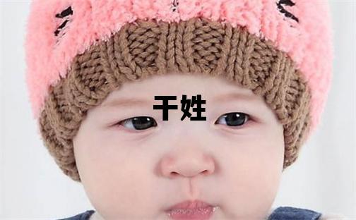 干姓取名有氣質的男寶寶名字
