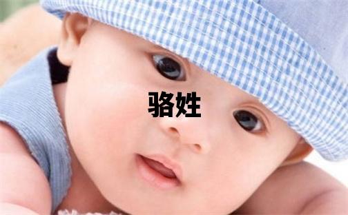 駱姓有創意的男寶寶名字