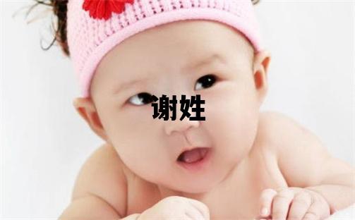 謝姓有涵養的男孩名字,取什么名字好