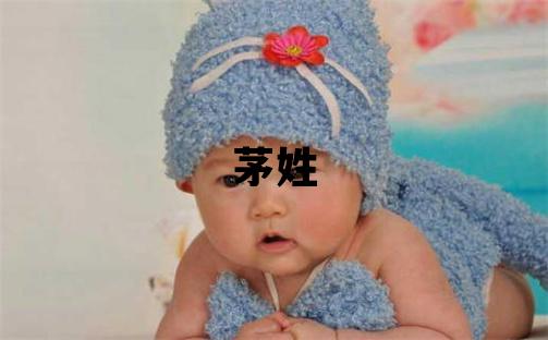 茅姓有涵養的男孩名字,取什么名字好