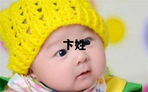 卞姓有智慧才氣的女寶寶名字