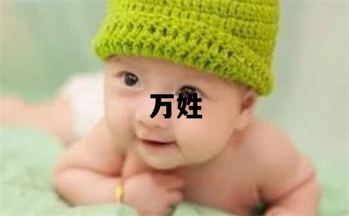 萬姓有智慧才氣的男寶寶名字