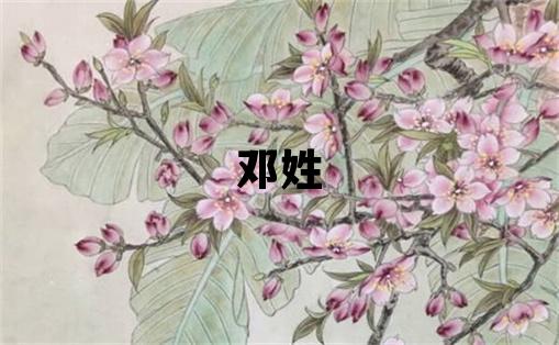 鄧姓取名獨(dú)特優(yōu)美的男寶寶名字