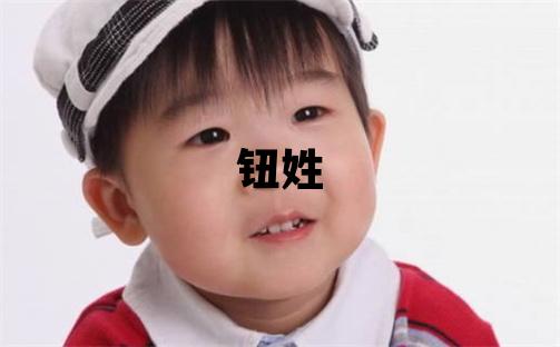 鈕姓有詩意的男寶寶名字