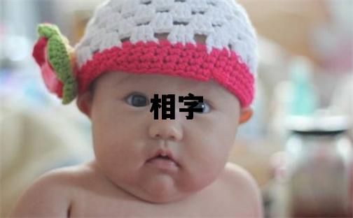 相字取名的寓意和含義 男孩用相字取名