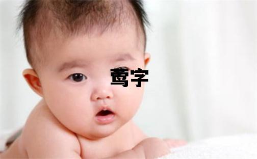 鶯字取名的寓意 鶯字取名的寓意女孩