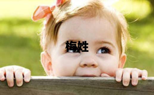 梅姓優美的男孩名字