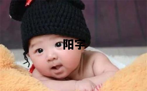 陽字取名的寓意和含義 男孩用陽字取名