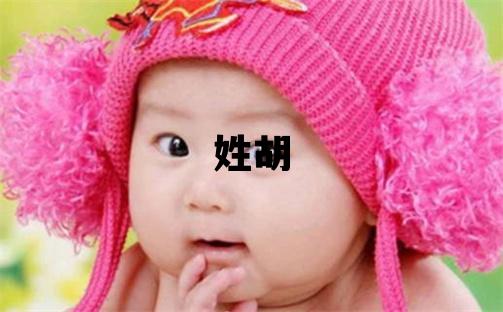 姓胡叫什么名字好 姓胡的男孩有靈氣的名字