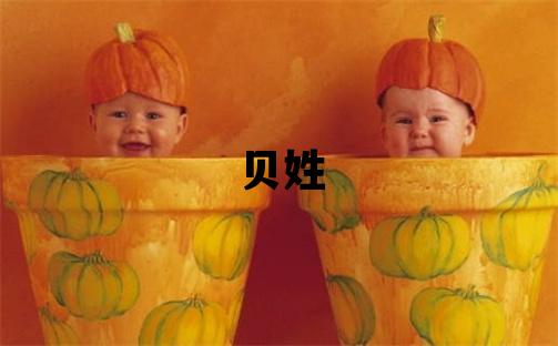 貝姓冷門獨(dú)特的男孩名字