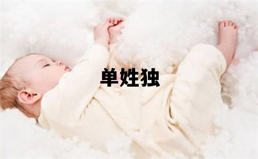 單姓獨特優美的男孩名字