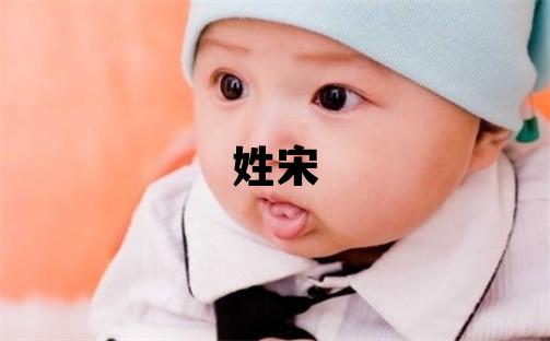 姓宋叫什么名字好 姓宋的男孩有詩意的名字