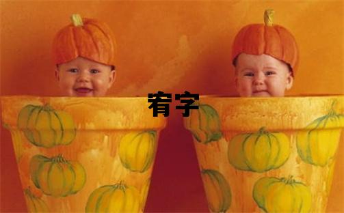 宥字五行屬什么 宥字取名寓意男孩