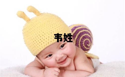 韋姓有智慧才氣的男孩名字,取什么名字好