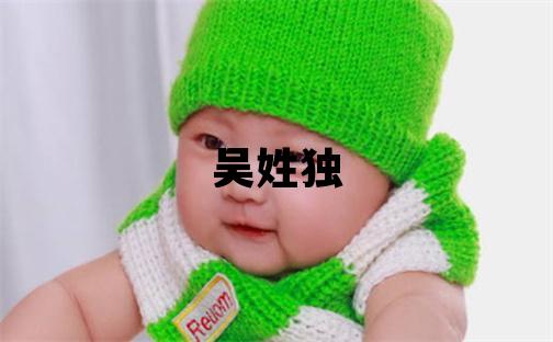 吳姓獨特優美的男孩名字,取什么名字好