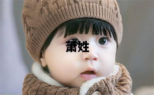 蕭姓大氣文雅的男孩名字
