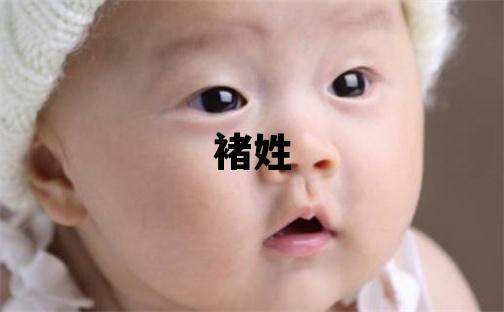 褚姓朗朗上口的男寶寶名字