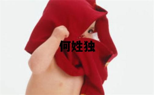 何姓獨(dú)特優(yōu)美的男孩名字,取什么名字好