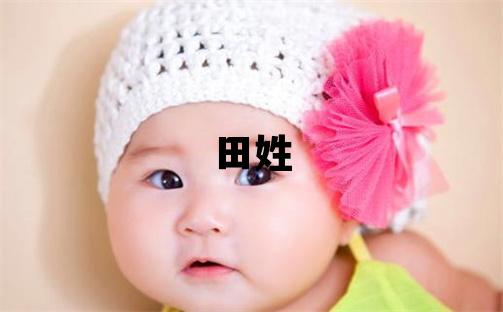 田姓取名洋氣的男寶寶名字