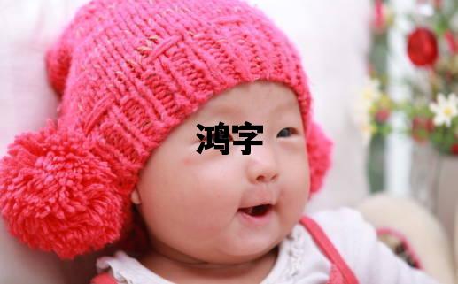 鴻字取名的寓意 鴻字取名的寓意男孩