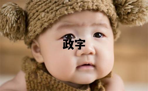 政字五行屬什么 政字男孩最佳組合名字