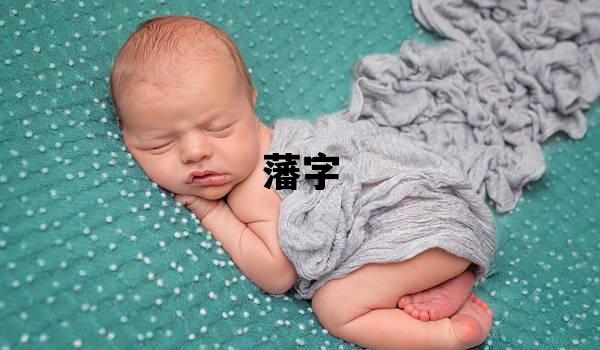 藩字取名的寓意和含義 男孩用藩字取名