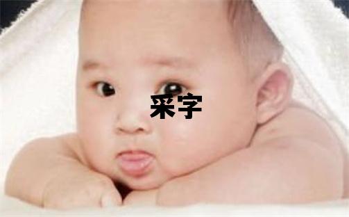 采字五行屬什么 采字女孩最佳組合名字