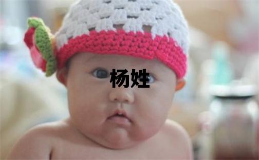 楊姓有涵養的女孩名字