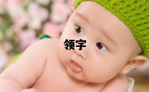 領字五行屬什么 領字取名寓意男孩