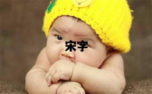 宋字五行屬什么 宋字男孩最佳組合名字