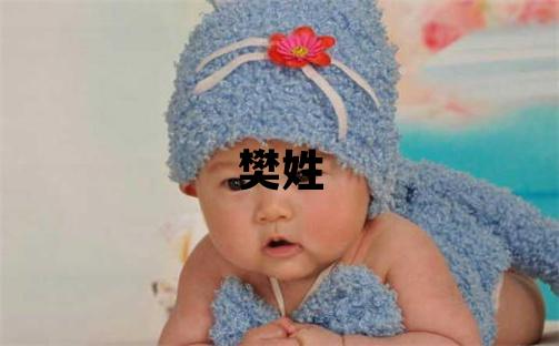 樊姓有詩(shī)意的男寶寶名字