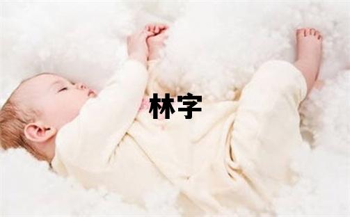林字取名的寓意和含義 男孩用林字取名