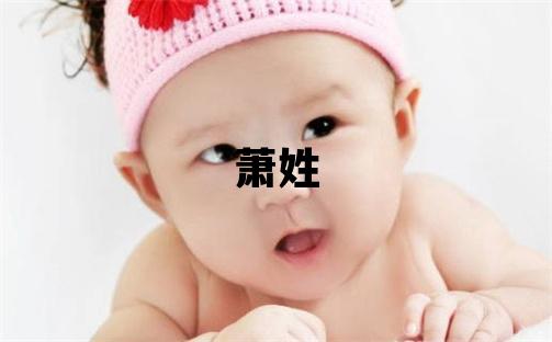 蕭姓有涵養的男寶寶名字